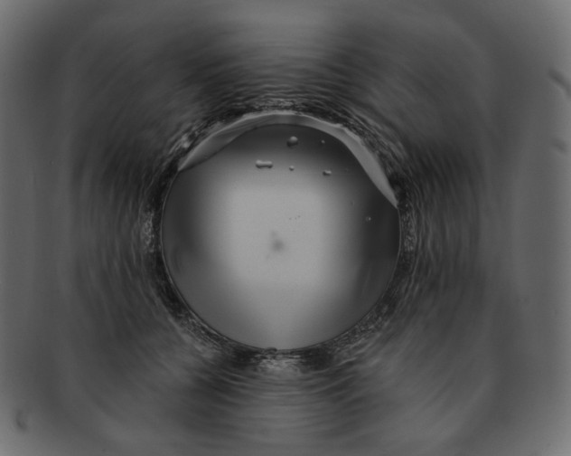 X0000091930560200710031101