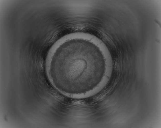 X0000091930561200710031101