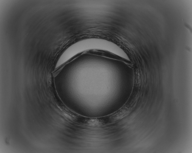 X0000091930562200710031101