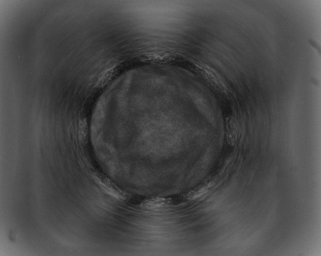 X0000091930563200710031101