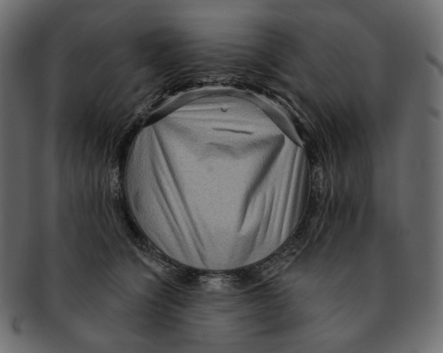 X0000091930564200710031101