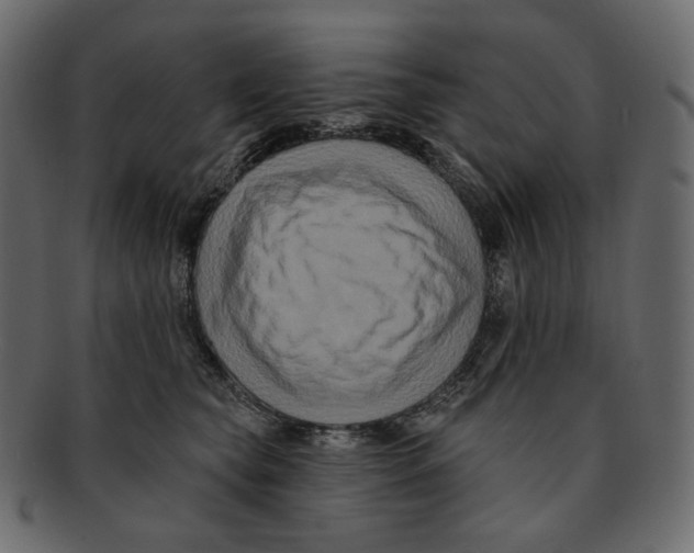 X0000091930565200710031101