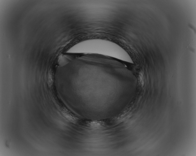 X0000091930566200710031101