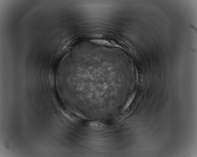 X0000091930568200710031101