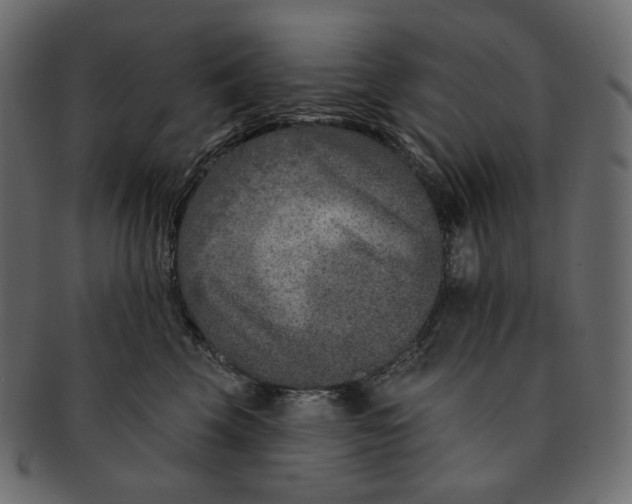 X0000091930569200710031101