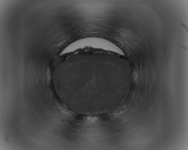 X0000091930570200710031101