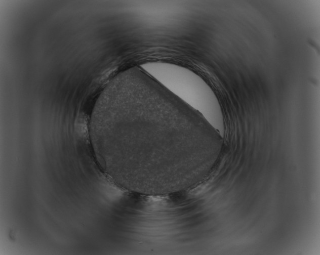 X0000091930573200710031101