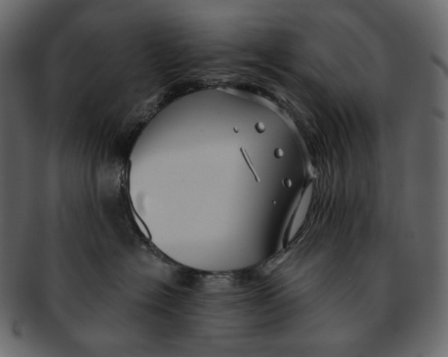 X0000091930574200710031101