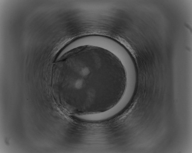 X0000091930577200710031100