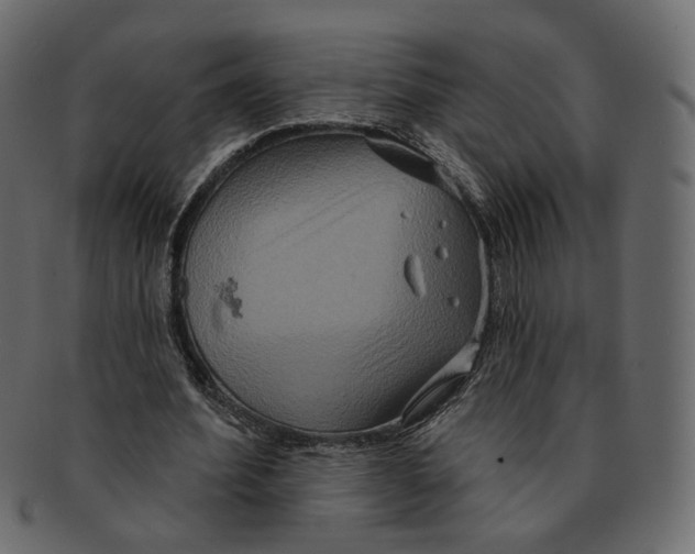 X0000091930580200710031100