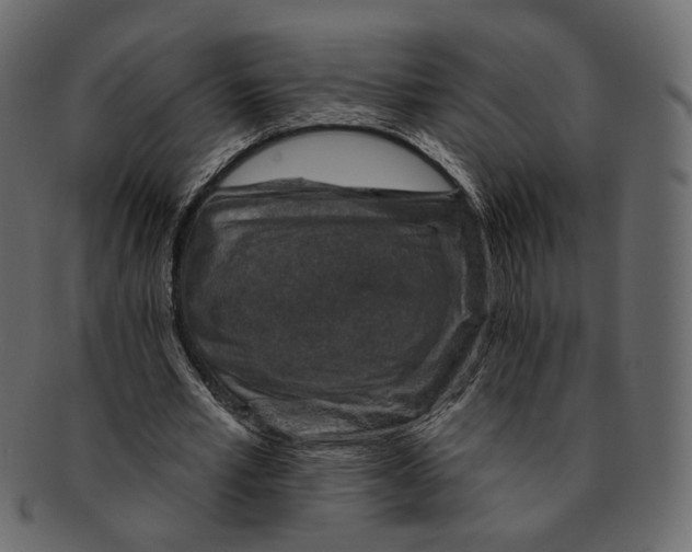 X0000091930581200710031100