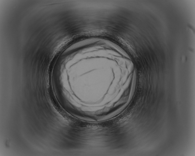 X0000091930582200710031100