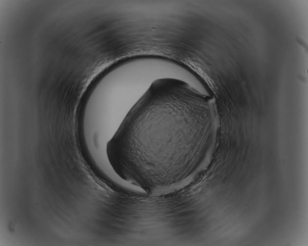 X0000091930584200710031100