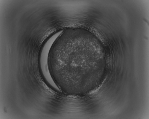 X0000091930585200710031100