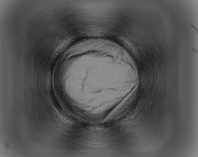 X0000091930586200710031100