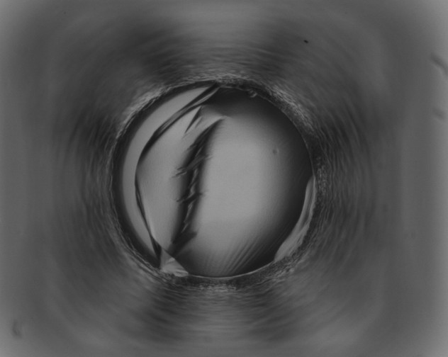 X0000091930587200710031100