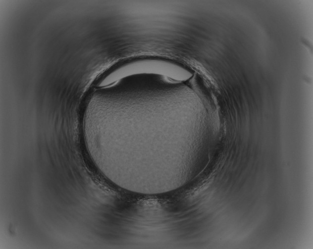 X0000091930588200710031100