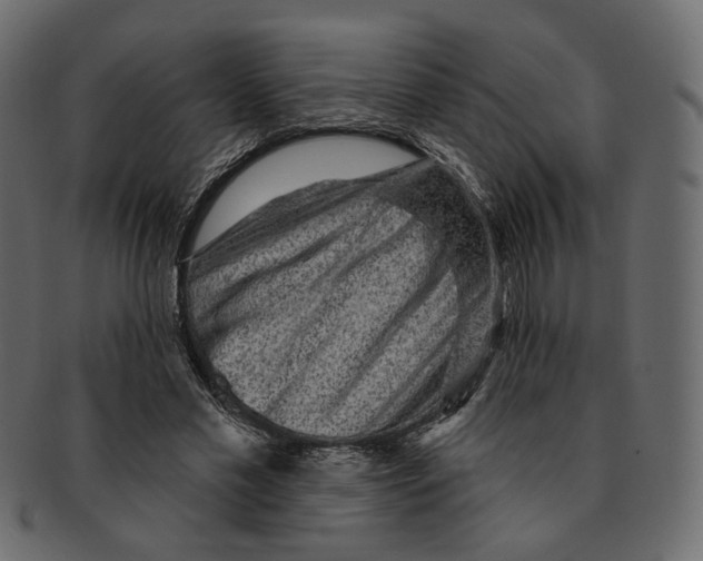 X0000091930589200710031100