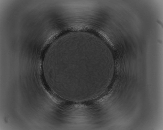 X0000091930590200710031100