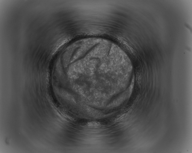 X0000091930591200710031100