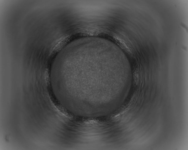 X0000091930594200710031100