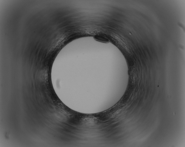 X0000091930595200710031100