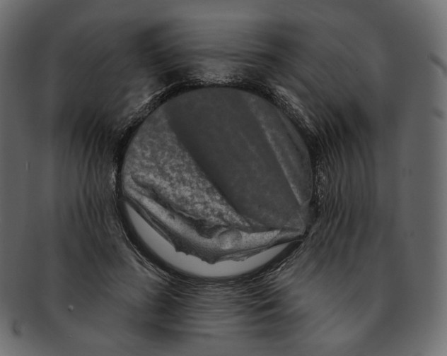 X0000091930596200710031100