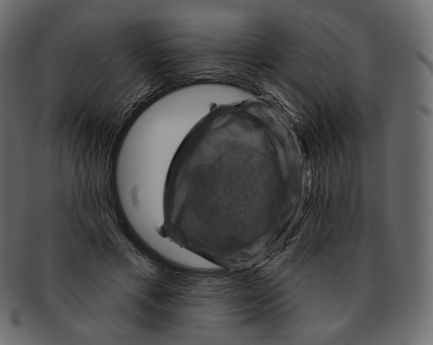 X0000091930597200710031100