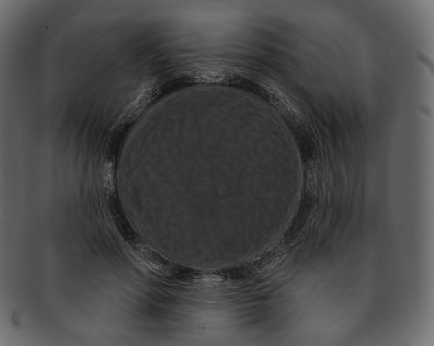 X0000091930598200710031100