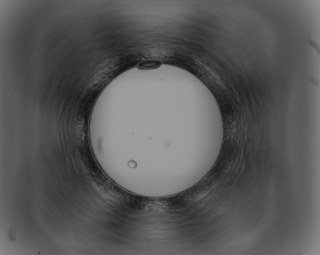 X0000091930599200710031100