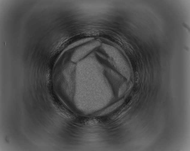 X0000091930600200710031100