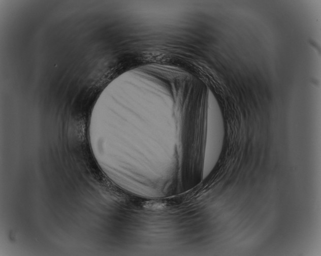 X0000091930602200710031100