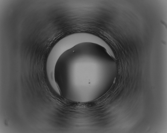 X0000091930604200710031100