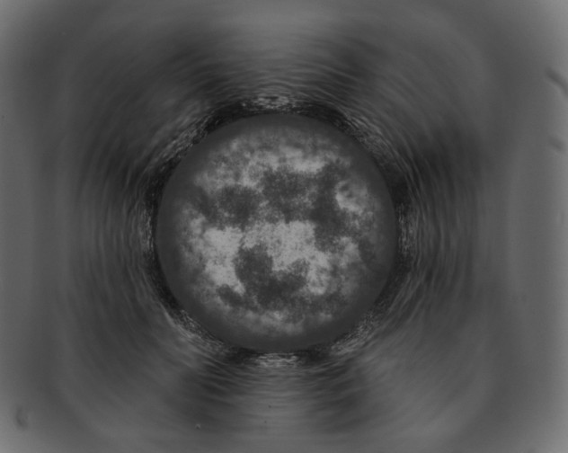 X0000091930606200710031100