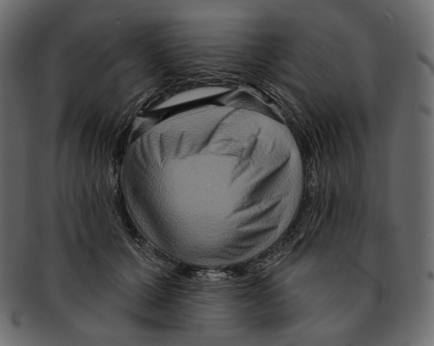 X0000091930607200710031100