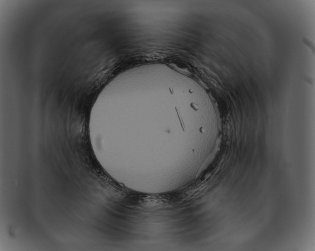 X0000091930608200710031100