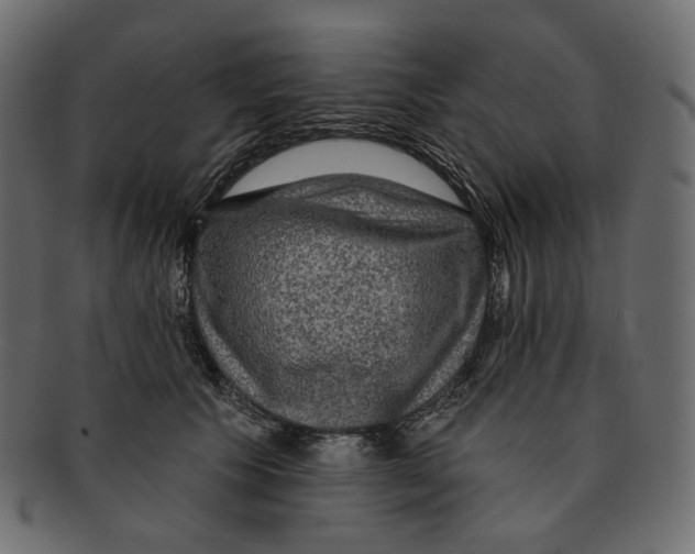 X0000091930609200710031100