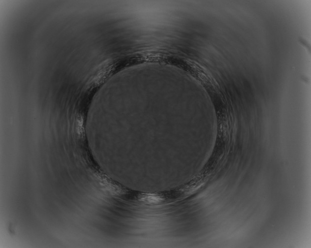 X0000091930610200710031100