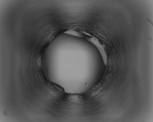 X0000091930611200710031100