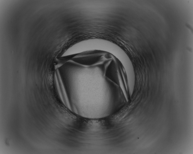 X0000091930613200710031100