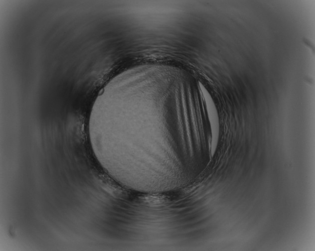 X0000091930615200710031100