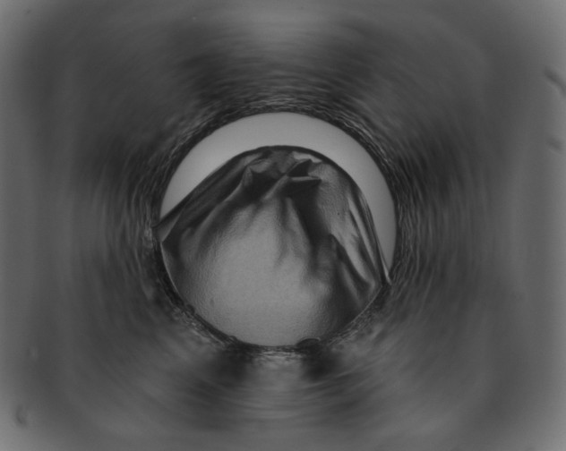 X0000091930617200710031100