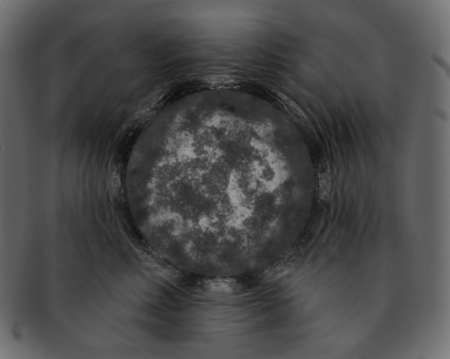 X0000091930618200710031100