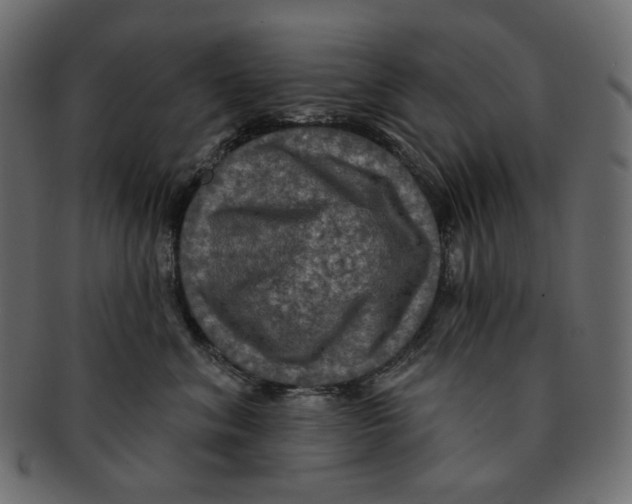 X0000091930620200710031100