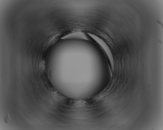 X0000091930621200710031100