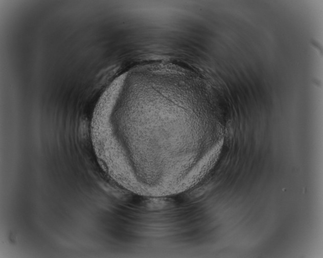 X0000091930623200710031100