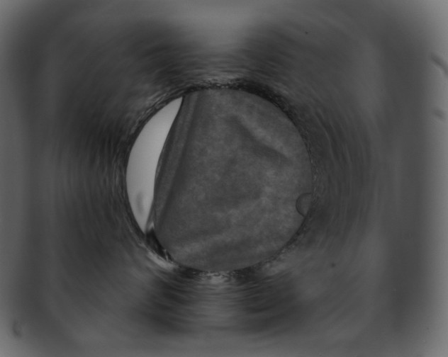 X0000091930624200710031100