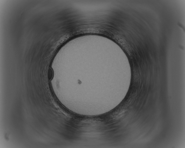 X0000091930625200710031059