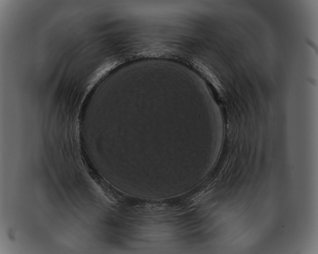 X0000091930626200710031059