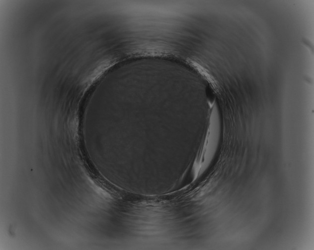 X0000091930627200710031059